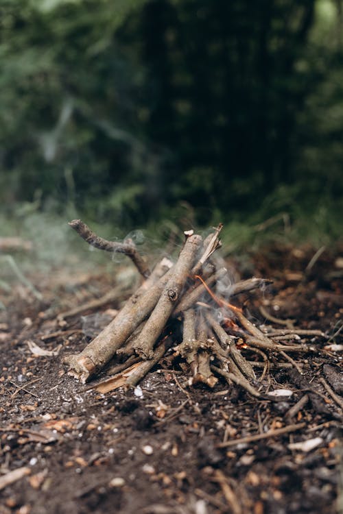 Ferro rod and striker next to a tinder bundle ready to catch sparks in a backcountry camp
