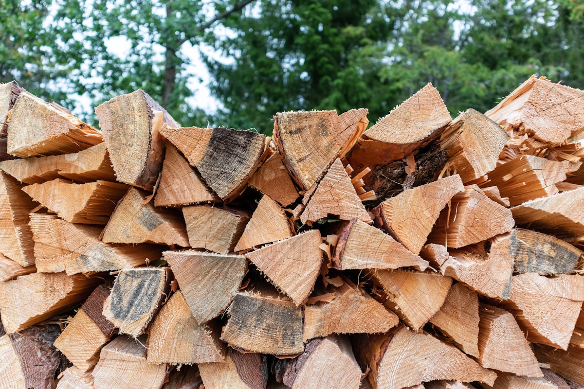 Neatly stacked split hardwood firewood logs outside a cabin