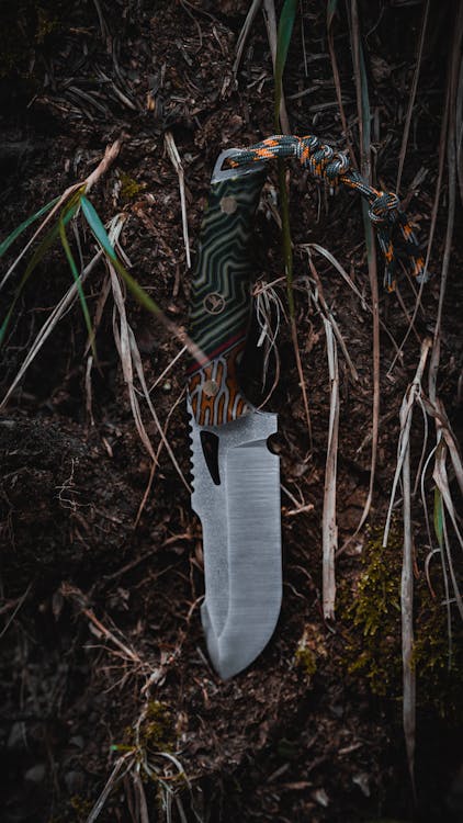 Several survival knives laid out on a wooden stump in the woods