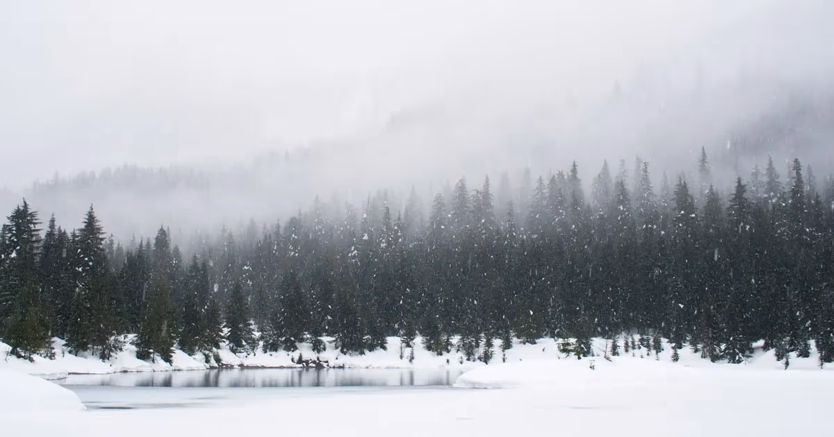 A person in layered winter clothing crouched near a small fire in a snowy forest