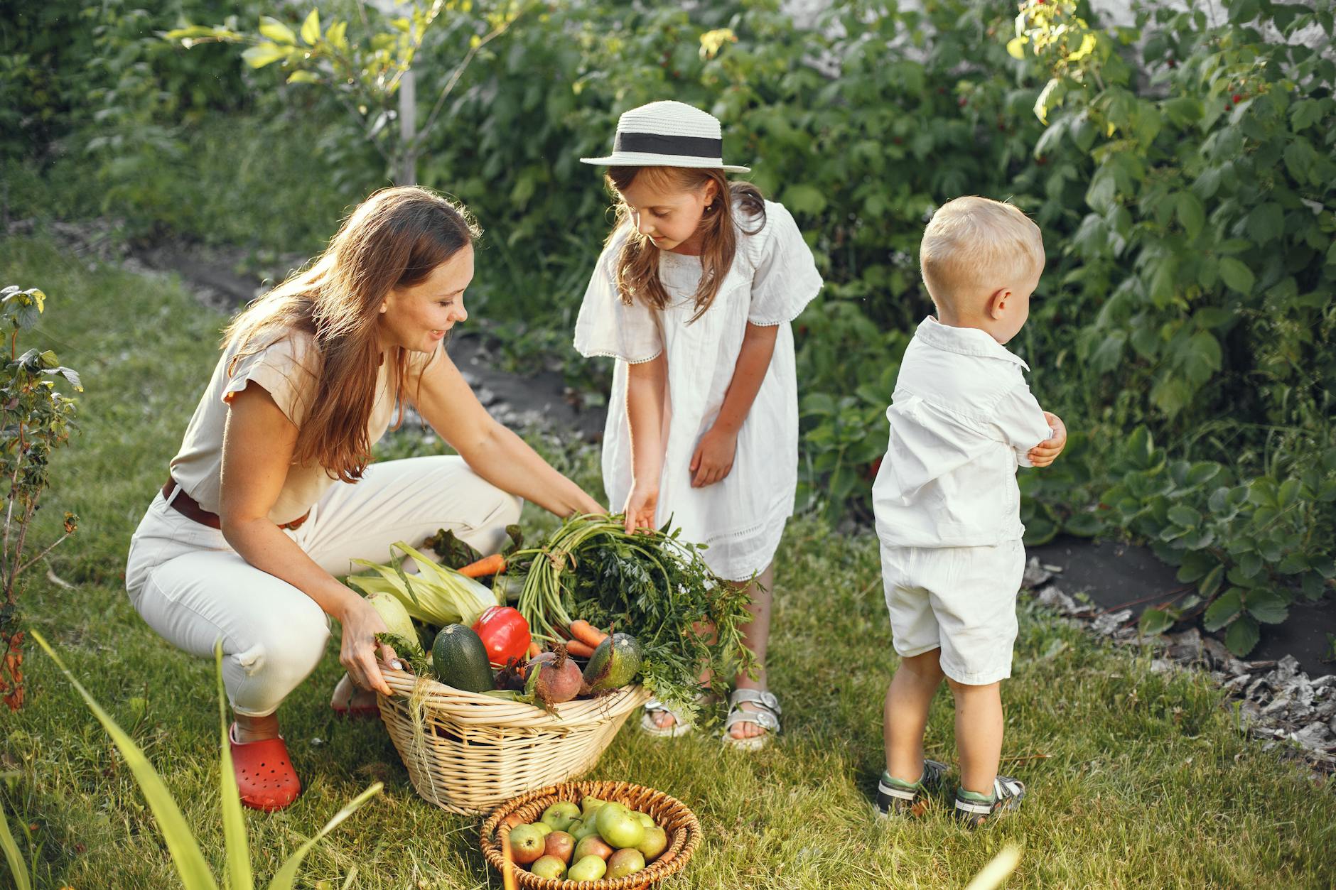 Family with children harvesting vegetables from raised bed garden in backyard