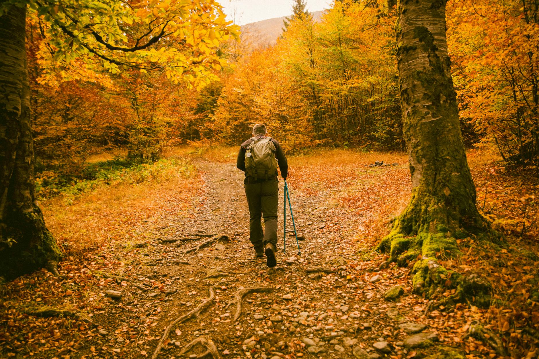 Overloaded backpack with too much gear spilling out on a trail near a forest