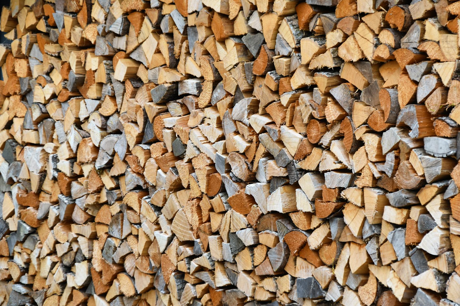 Split oak firewood stacked in rows outside a log cabin in autumn preparing for winter