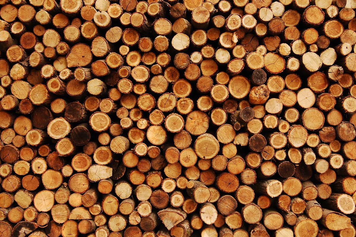 Split firewood stacked in neat rows under a covered woodshed