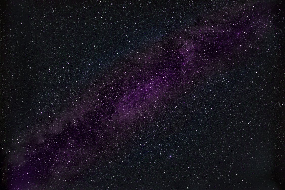 Night sky with bright Polaris star visible above a dark forest treeline