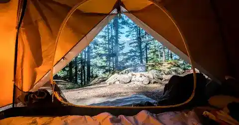 Wilderness campsite at sunset — Survivorpedia